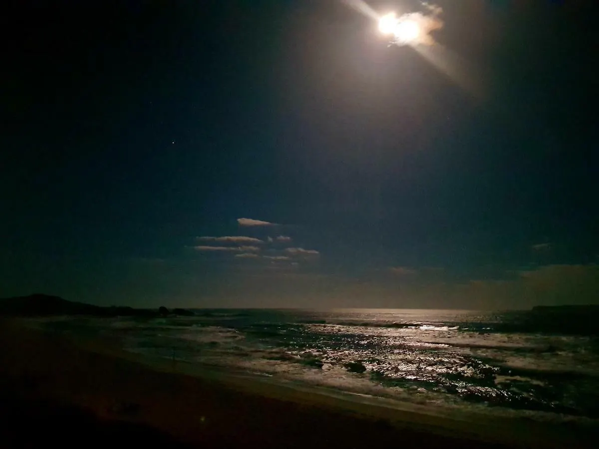 Casa Praia Mole Florianópolis البرازيل